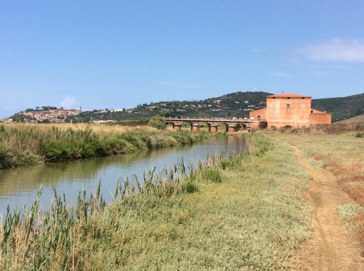 Direttamente Sulla Spiaggia Castiglione della Pescaia Exterior foto